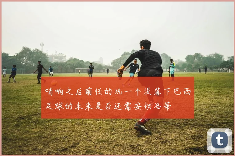 哨响之后前任的坑一个没落下巴西足球的未来是否还需安切洛蒂