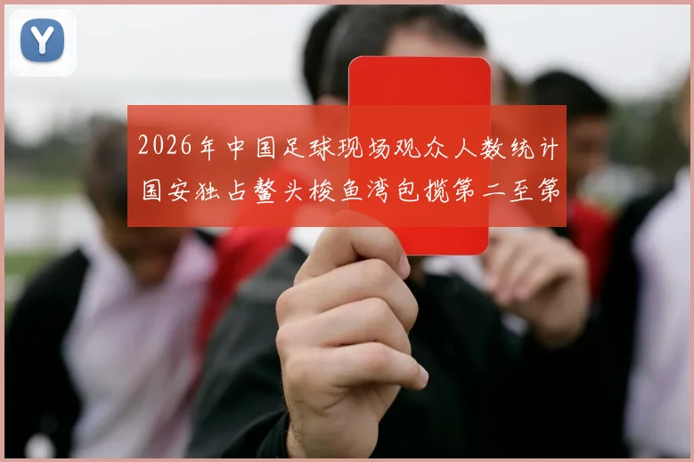 2026年中国足球现场观众人数统计国安独占鳌头梭鱼湾包揽第二至第七位